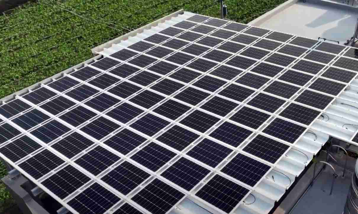 z6mg·人生就是博SunSteel光电浪板升级双玻结构，，以提升机械负载强度及气候耐候度，，可广泛运用于多元场域